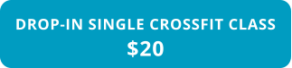 DROP-IN SINGLE CROSSFIT CLASS $20